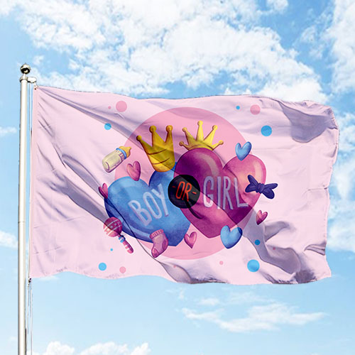 Boy or Girl Flag and Banner - Baby Shower Flag and Banner