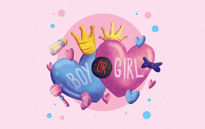 Boy or Girl Flag and Banner - Baby Shower Flag and Banner