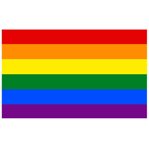 Custom Printed Pride Flag